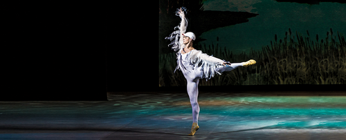 Legend of the Swan Lake and the Ugly Duckling. State Academic Theatre of Classical Ballet Kasatkina and Vladimir Vasilev (Classical Ballet) - 