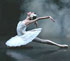 The Stars of the Classical Russian Ballet in the Summer Ballet Festival