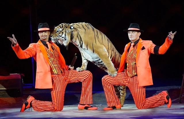 Great State Classical Moscow Circus (established 1971)